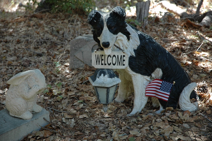 Cambria Graveyard 018.jpg